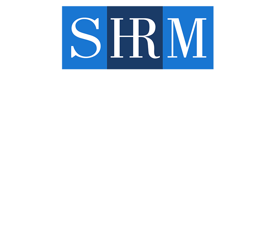 Logo The AI + HI Project