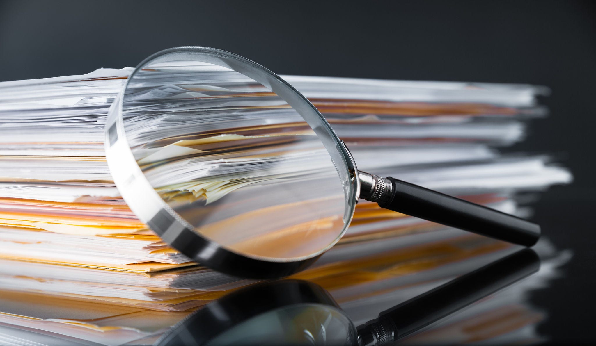 Workplace Investigations