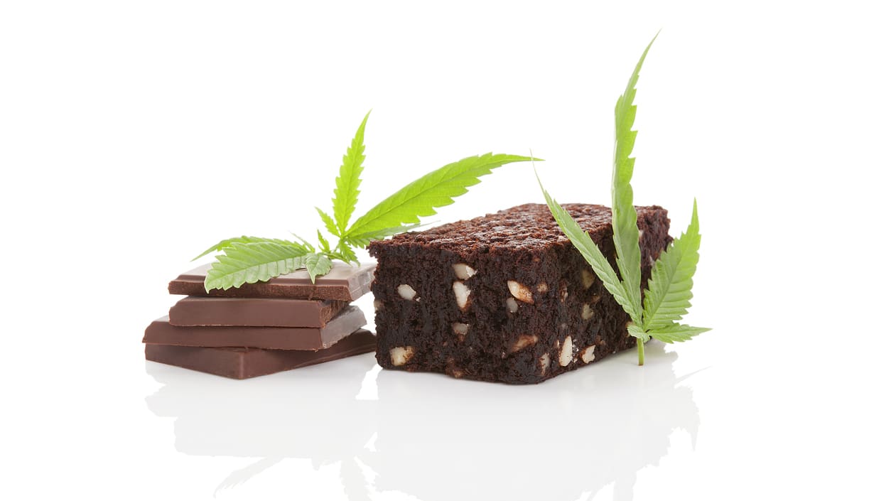 How NOT to Ask ChatGPT for a Cannabis Edibles Recipe - Elevated Edibles  Experts