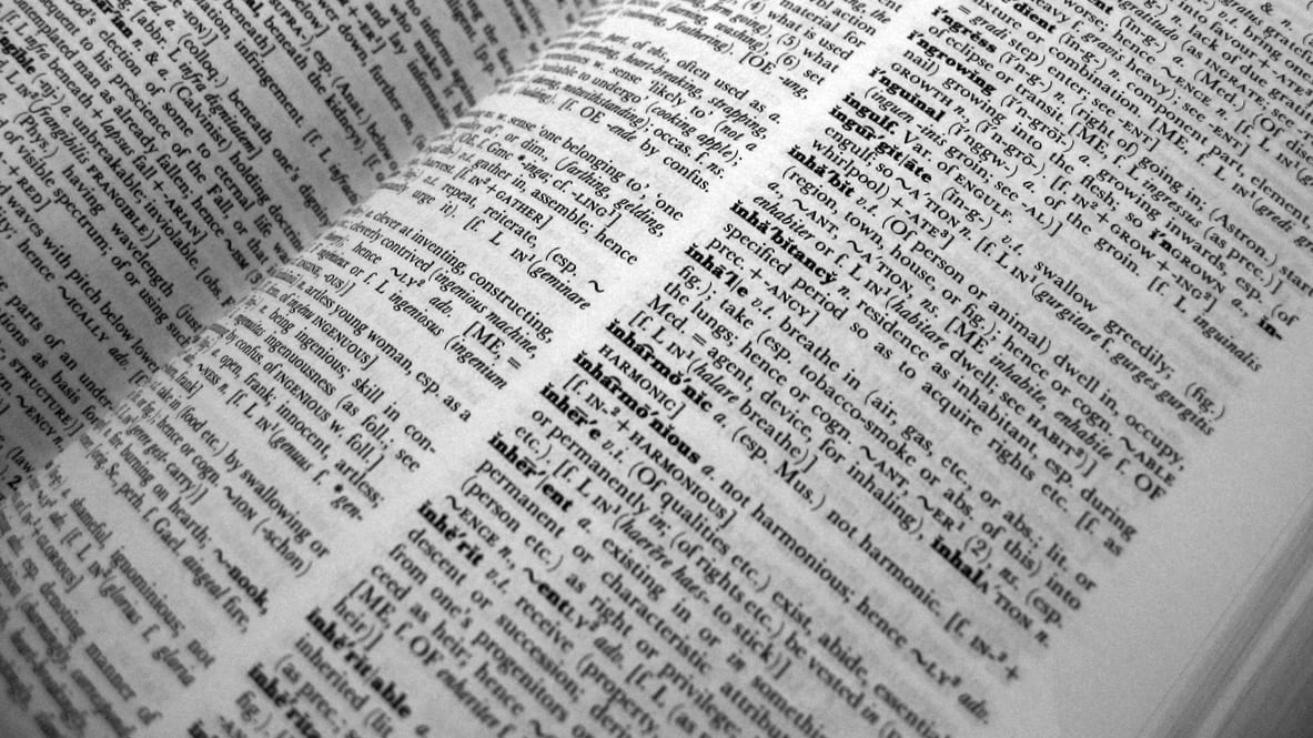 A black and white photo of an open dictionary.