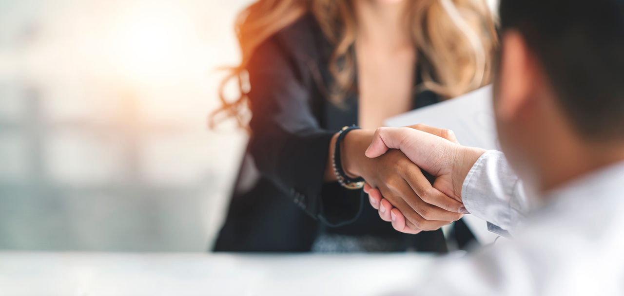 Two professionals shaking hands