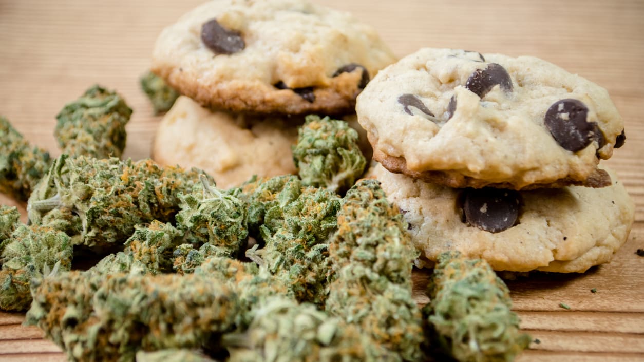 How NOT to Ask ChatGPT for a Cannabis Edibles Recipe - Elevated Edibles  Experts