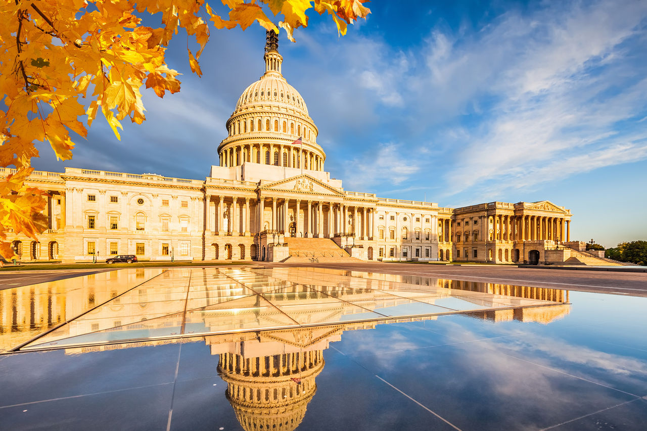 The U.S. Capitol.