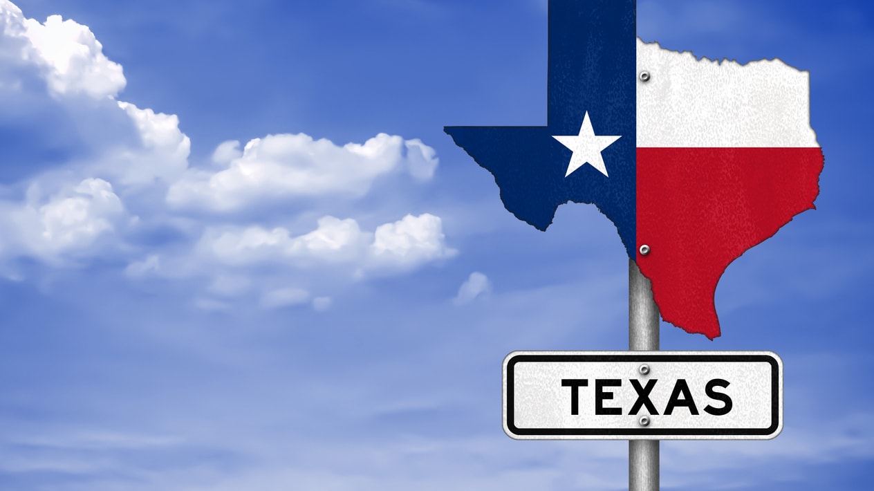 A texas road sign with the flag of texas.